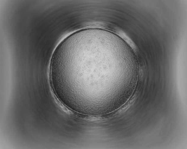 X0000115421052200911101628