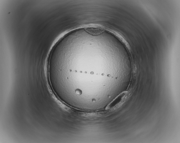 X0000115421054200911101628