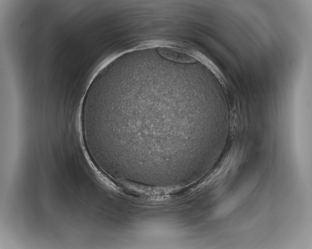 X0000115421055200911101628