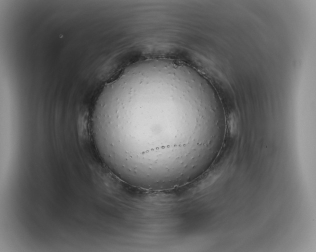 X0000115421059200911101627