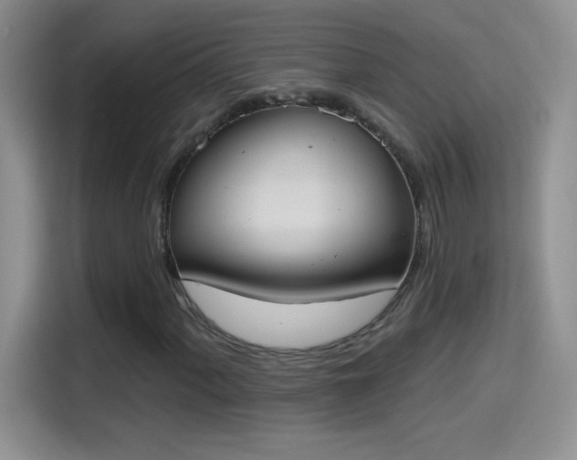X0000115421060200911101627