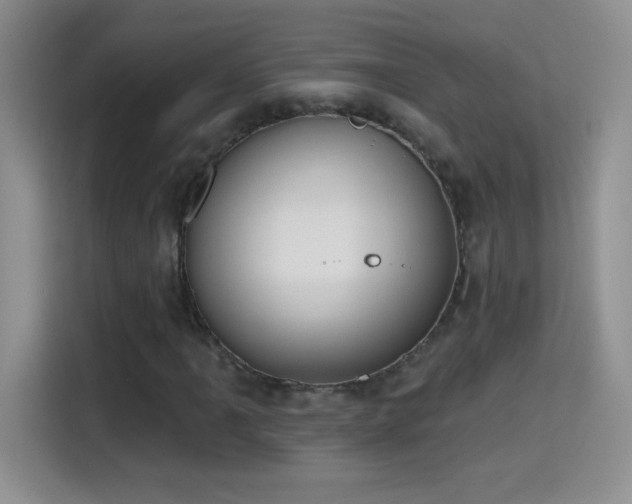 X0000115421061200911101627