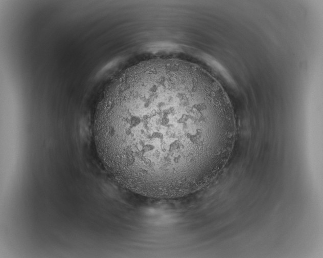 X0000115421063200911101627