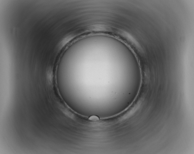 X0000115421065200911101627