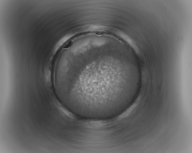 X0000115421066200911101627