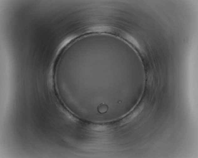 X0000115421071200911101627