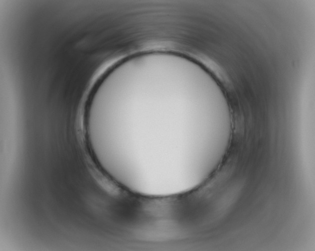 X0000115421078200911101627