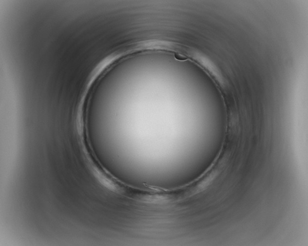 X0000115421082200911101627