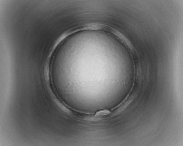 X0000115421083200911101627