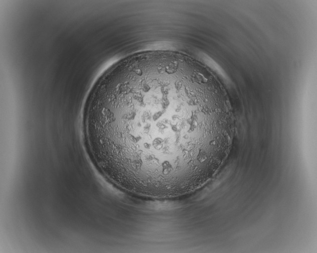 X0000115421087200911101627