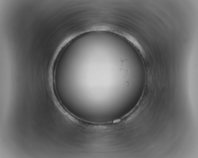 X0000115421088200911101627