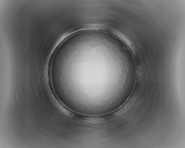 X0000115421091200911101627