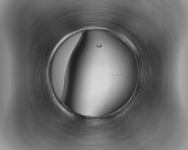 X0000115421092200911101626