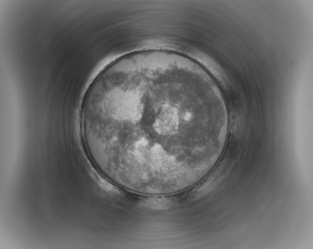 X0000115421094200911101626
