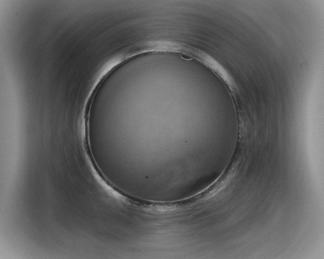 X0000115421095200911101626