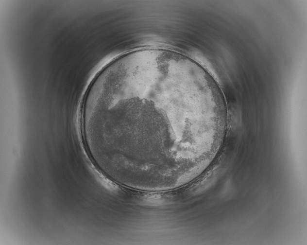 X0000115421098200911101626