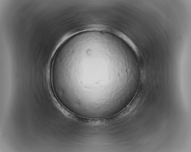 X0000115421099200911101626