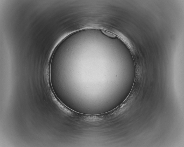 X0000115421100200911101626