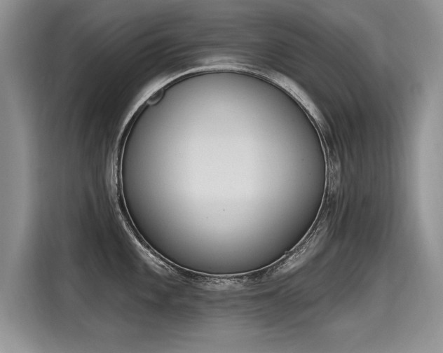 X0000115421101200911101626