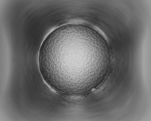 X0000115421103200911101626