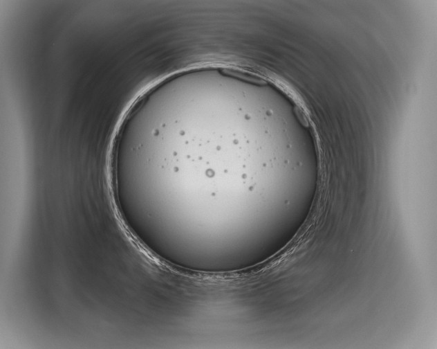 X0000115421104200911101626