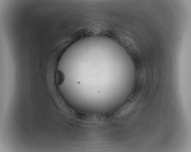 X0000115421105200911101626
