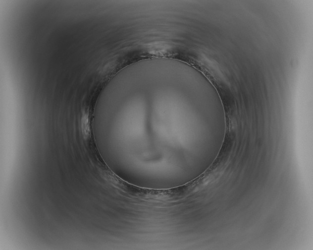 X0000115421106200911101626