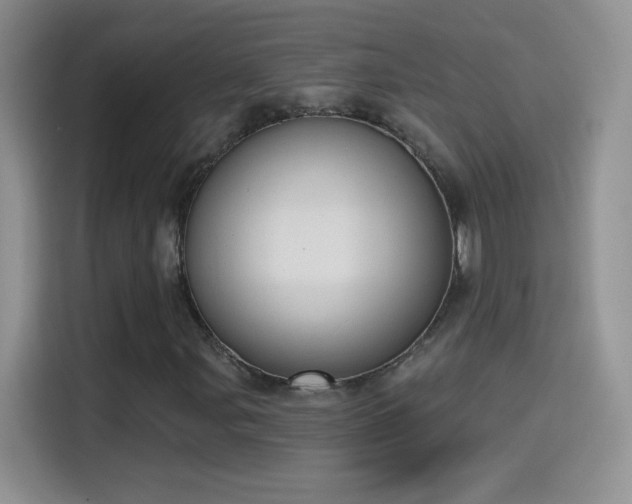 X0000115421107200911101626