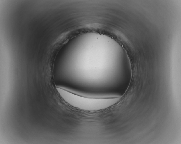 X0000115421110200911101626