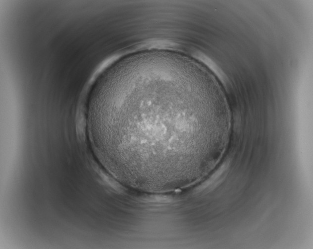 X0000115421115200911101626