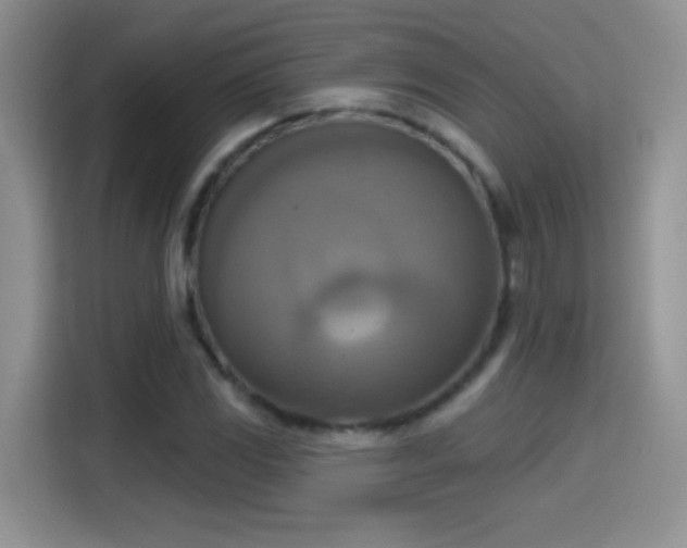 X0000115421117200911101626