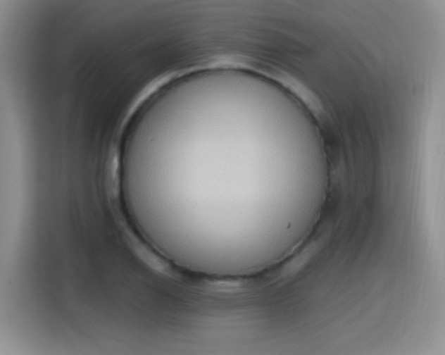 X0000115421126200911101626