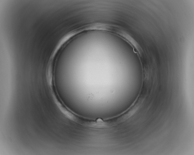X0000115421131200911101626