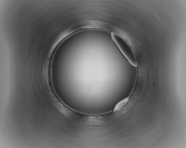 X0000115421138200911101626