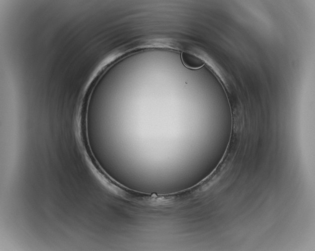 X0000115421139200911101626