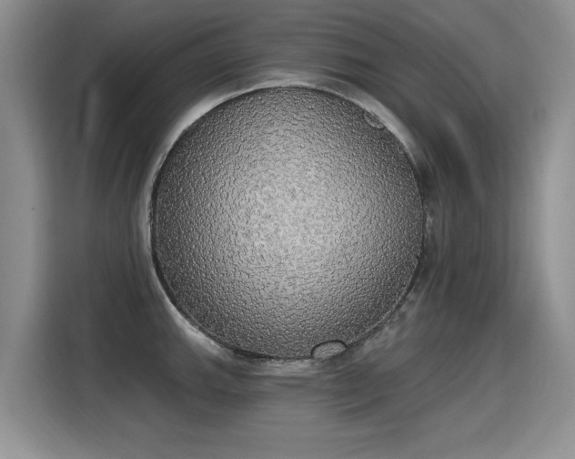 X0000115421143200911101626