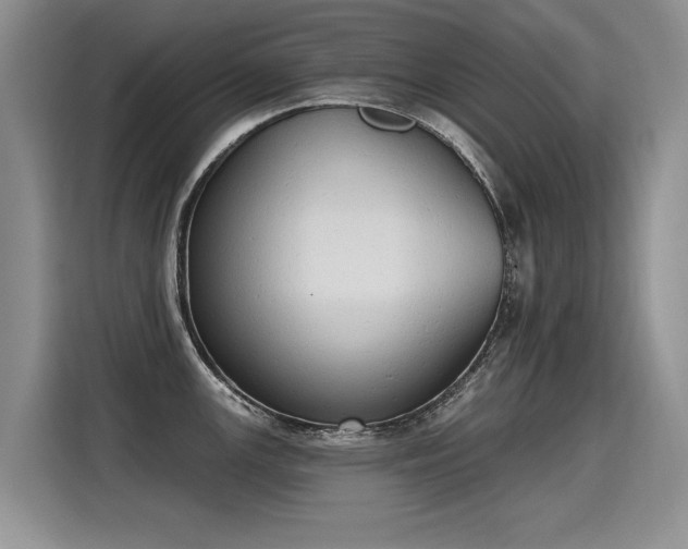 X0000115421147200911101626