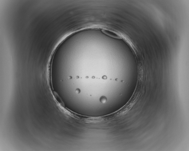 X0000115421151200911101626