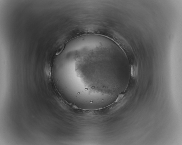X0000115421155200911101626