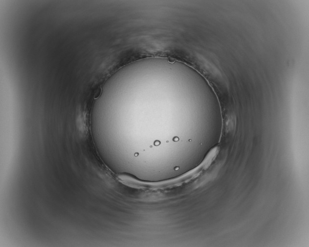 X0000115421156200911101626