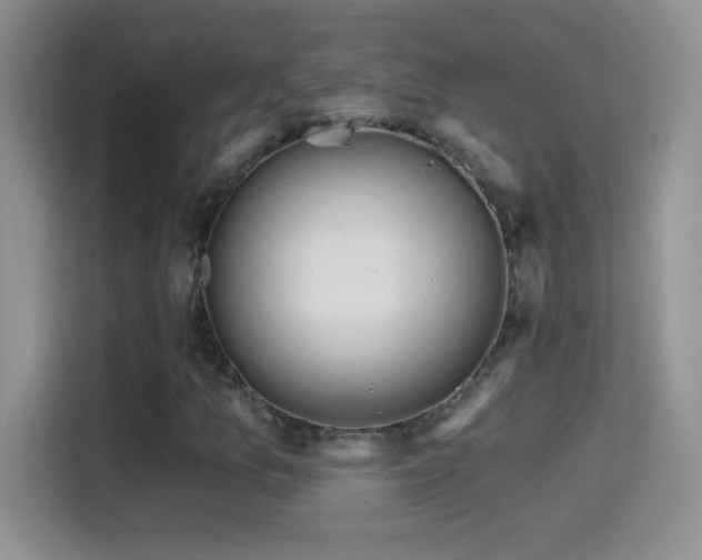 X0000115421157200911101626