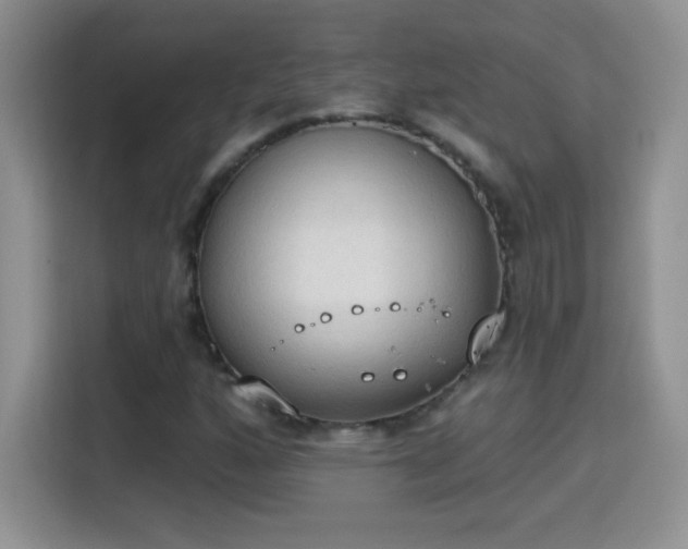 X0000115421160200911101626