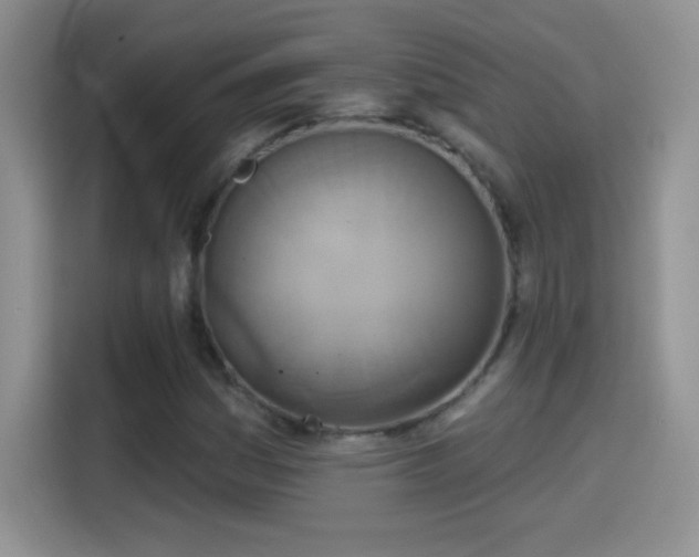 X0000115421161200911101626
