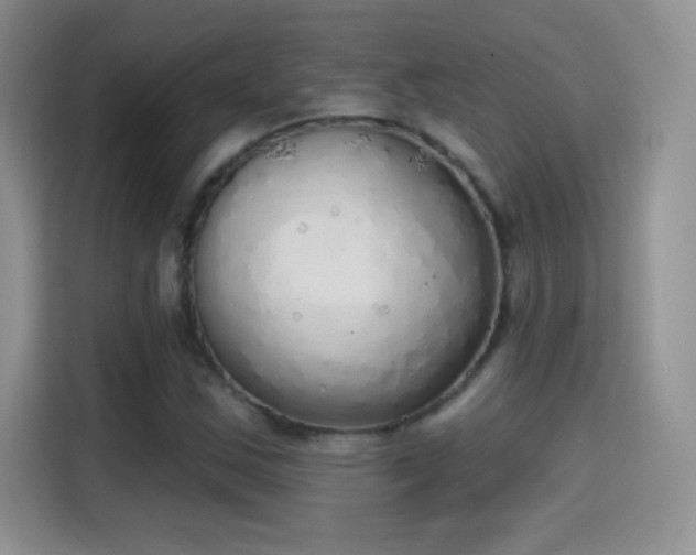 X0000115421163200911101626
