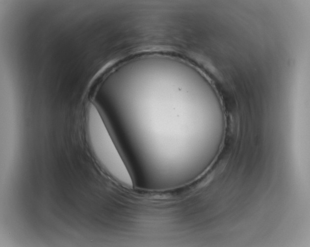 X0000115421165200911101626