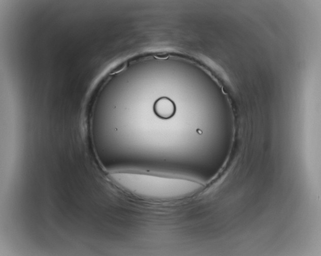X0000115421167200911101626