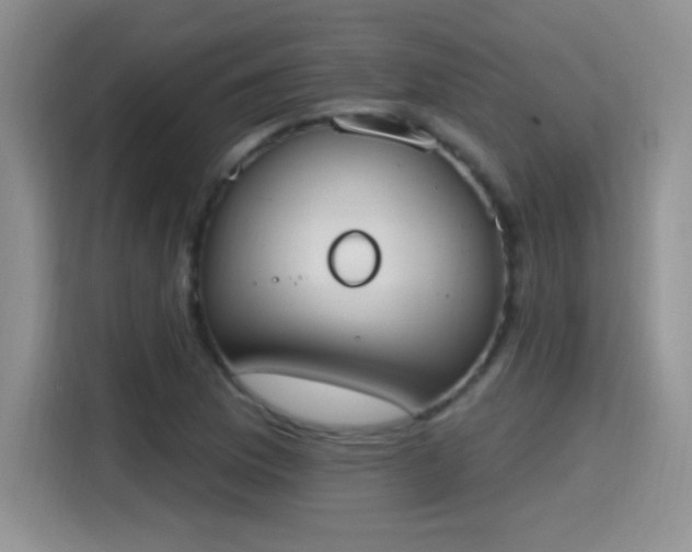 X0000115421169200911101625