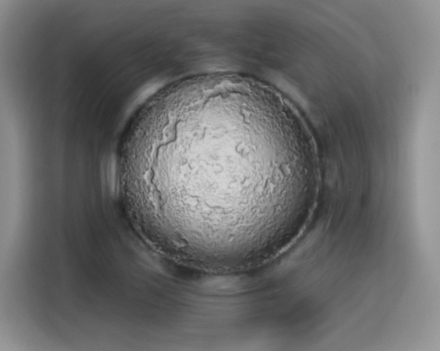 X0000115421171200911101625