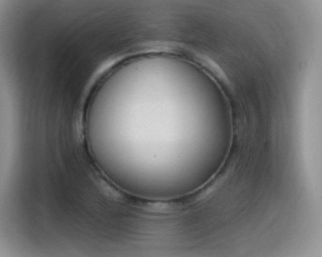 X0000115421172200911101625