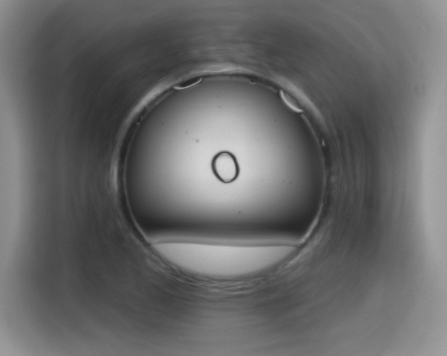 X0000115421173200911101625